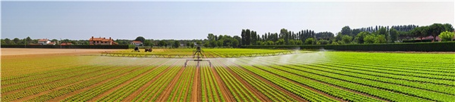 灌溉,地点,全景