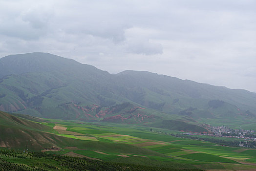 青海卓尔山