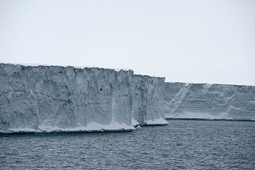 北冰洋,冰,悬崖,极地,冰盖,斯瓦尔巴特群岛,挪威