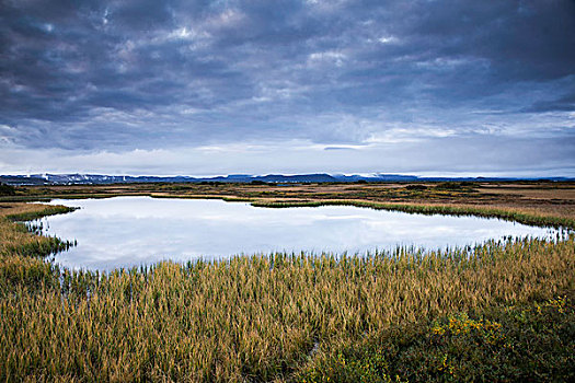 平静,水池,风景,米湖,冰岛