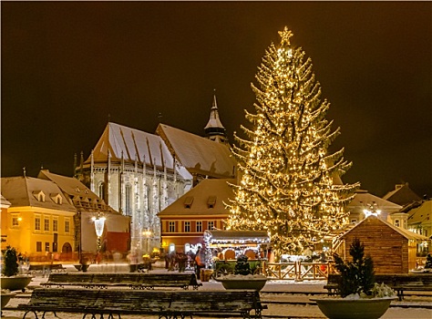 布拉索夫,罗马尼亚,老,圣诞树