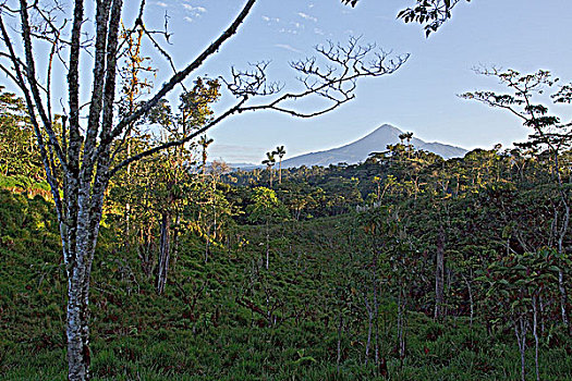 火山,东方,厄瓜多尔