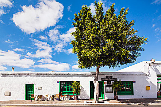 树,入口,餐馆,刷白,建筑,绿色,窗户,门,兰索罗特岛,加纳利群岛,西班牙