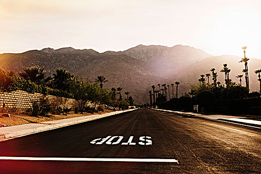 停车标志,公路,棕榈泉,加利福尼亚,美国