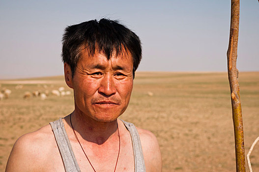 草地,蒙古人,护理,绵羊