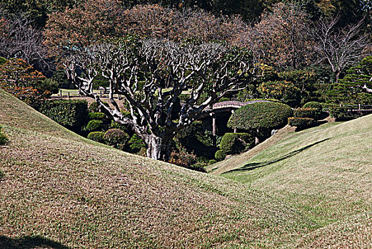 水前寺成趣园是仿造江户时代从江户日本桥至京都三条大桥间东海道上的53道美景缩小而建的,别具情趣,园内风景优雅,为典型的桃山风格的纯日本风情回游式庭院