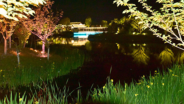 湿地夜景