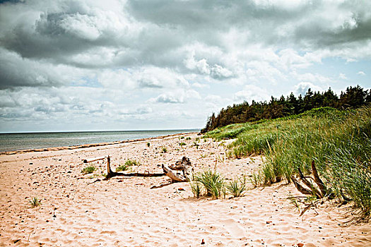 海滩,爱德华王子岛,加拿大