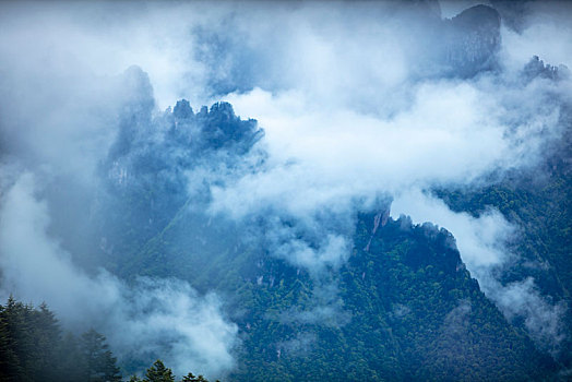 神农架,神农顶,风景,景点,旅游,高山,瀑布,河流,神秘,树木,植被,石头,鄂西,云海,峡谷,壮观