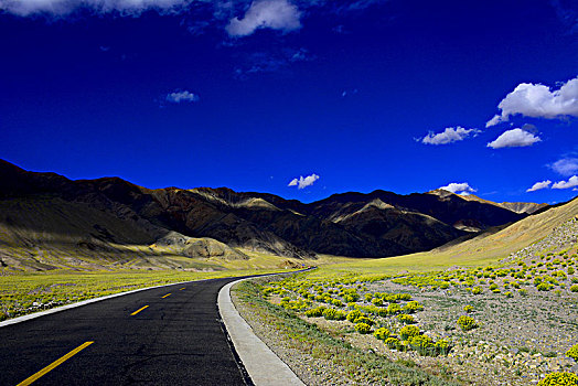 新藏线,国道219