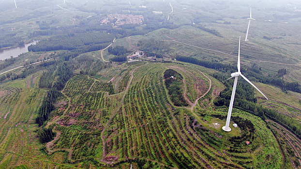 7旬老兵挖山10年,500亩荒山野岭变成花果山