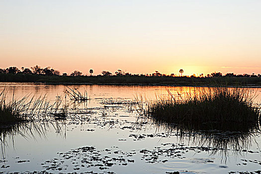 日落,水,奥卡万戈三角洲,博茨瓦纳,非洲