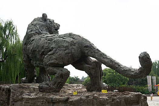 北京,动物园,标志性建筑,老虎,石虎,雕刻,雕塑,雕像,虎,东北虎