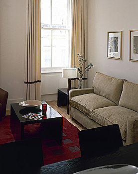 现代生活,区域,沙发,茶几,餐桌,椅子,晴朗,窗户