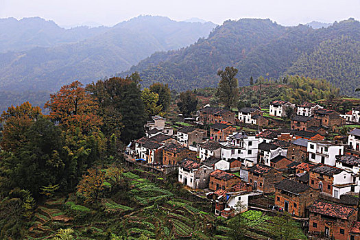 安徽,休宁,龙池汰,古村,古建筑,秋色