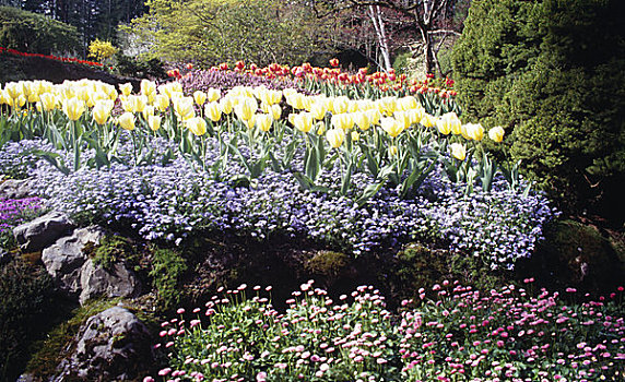 宝翠花园,维多利亚,不列颠哥伦比亚省,加拿大