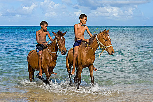 男孩,骑马,海滩,圣卢西亚,北美