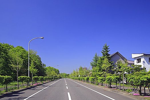 住宅区,道路