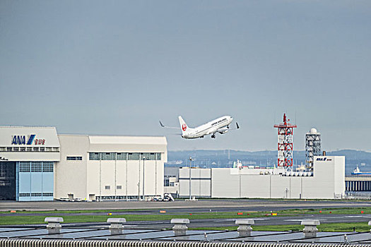 飞机,离开,羽田,机场,日本