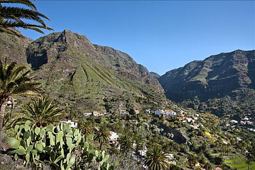 大帝谷,加纳利群岛,西班牙,欧洲