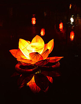 中秋节湖面上的莲花纸灯笼