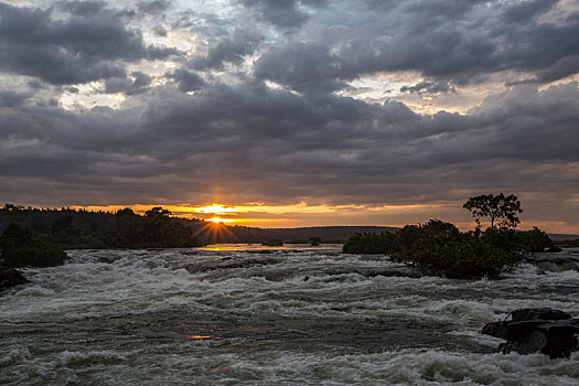 尼罗河,黎明,流动,水流,乌干达