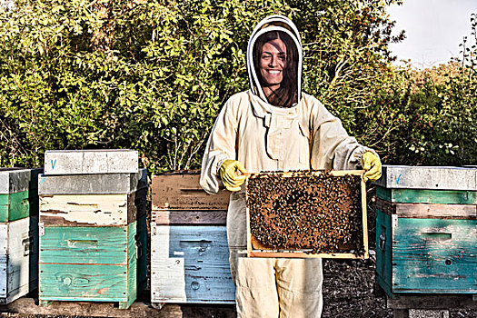 女人,头像,养蜂人,连衣裙,拿着,蜂窝,满,蜜蜂
