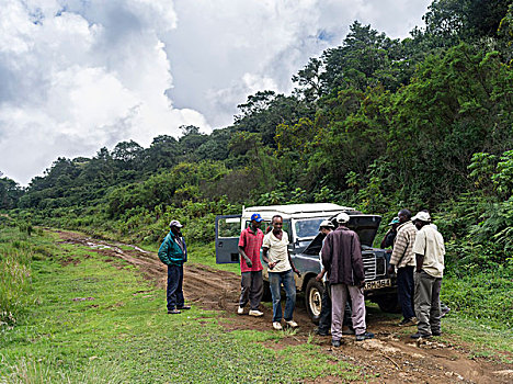 四驱车,肯尼亚山,树林,山,肯尼亚,国家公园,非洲,大幅,尺寸