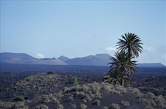 火山地貌,兰索罗特岛,加纳利群岛,西班牙,欧洲