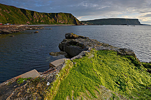 沿岸,风景,绿色,藻类,码头,大,石头,捕鱼,乡村,班夫郡,英国,苏格兰,欧洲