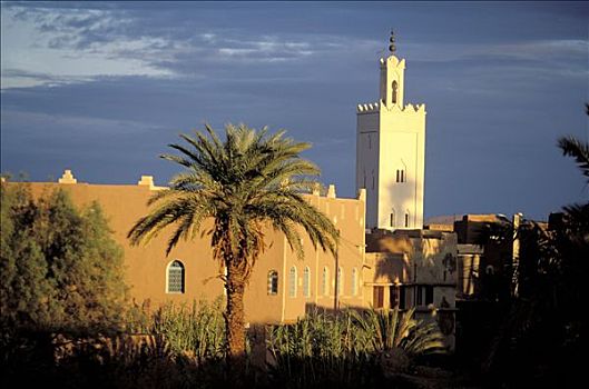 摩洛哥,瓦尔扎扎特,陶里尔特省
