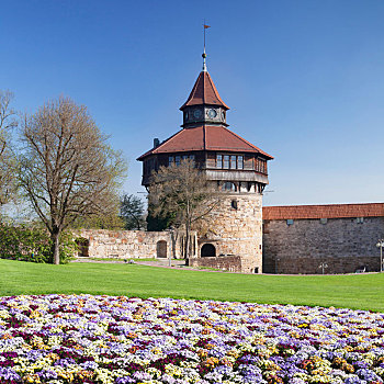 春天,盛开,城堡,埃斯林根,内卡河,巴登符腾堡,德国