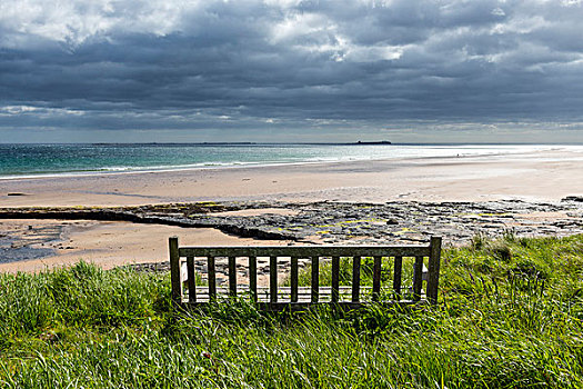 木制长椅,沙丘,石南,远眺,海滩,北海,诺森伯兰郡,英格兰,英国