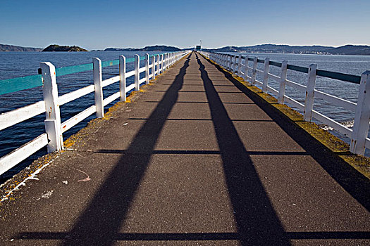 码头,惠灵顿,新西兰