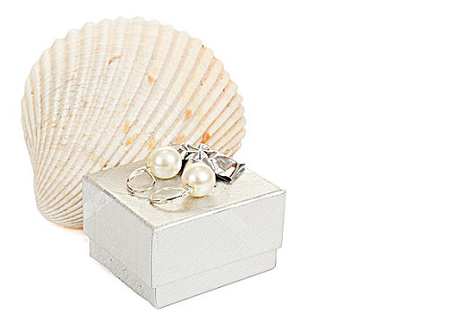 两个,珍珠耳环,壳,礼盒,隔绝,白色背景