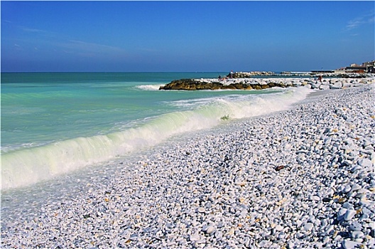 比萨,海岸,海滩