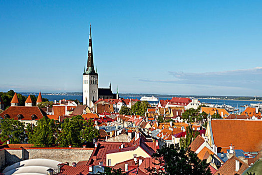 城堡区,大教堂,山,城市,墙壁,教堂,老城,世界遗产,塔林,爱沙尼亚,波罗的海国家,北欧