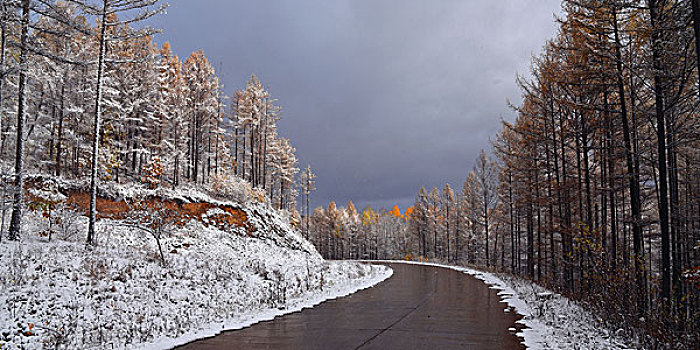 阿尔山雪景