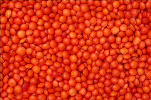 红色,扁豆