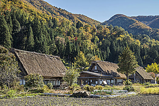 房子,白川乡,岐阜,日本