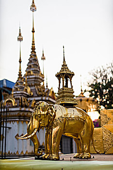 金色,大象,雕塑,尖顶,佛教寺庙,清迈,泰国