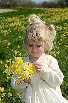 小女孩,2岁,穿,夏裙,花束,黄花九轮草,瑞典,欧洲