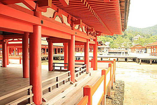 严岛神社,公园,日本