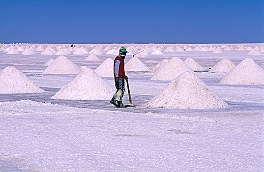 劳工,工作,盐厂,盐湖,乌尤尼盐沼,高原,玻利维亚,南美