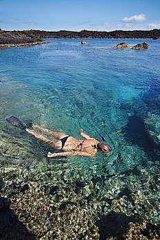 夏威夷,毛伊岛,湾,女人,潜水,浅,清水,上方,珊瑚礁