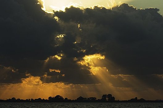 阳光,云,北荷兰,荷兰