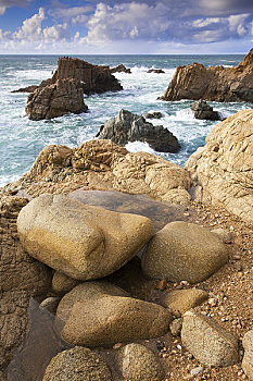 岩石海岸,州立公园,加利福尼亚,美国