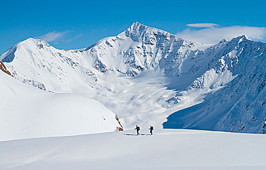 滑雪,冰河,伦巴第,阿尔卑斯山