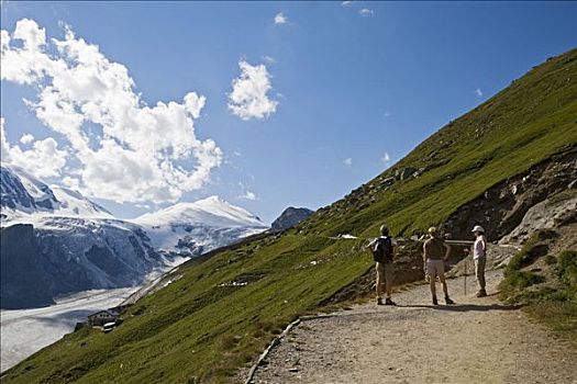 远足者,徒步旅行,冰河,国家公园,陶安,卡林西亚,奥地利,欧洲