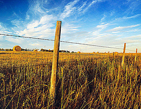 栅栏,干草,土地,艾伯塔省,加拿大